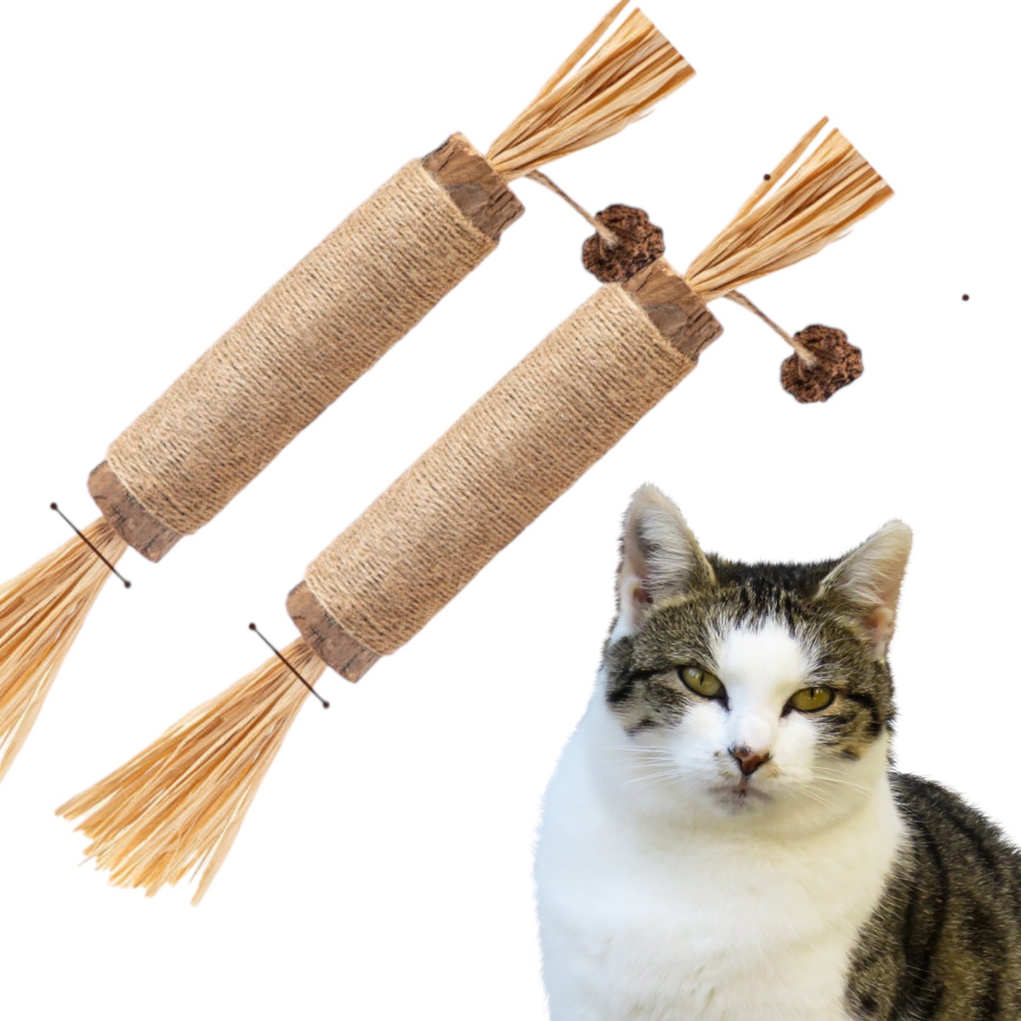 PetGo Jumbo Kaustange ( 2er Pack)